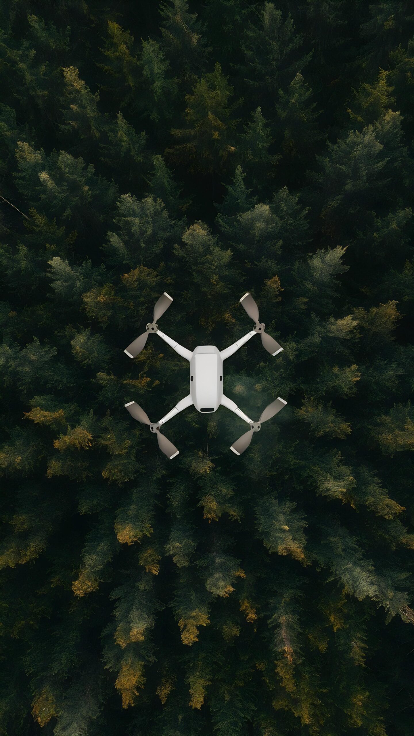 DRONE FILM